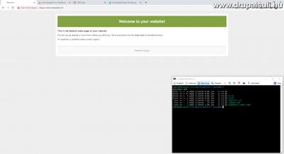 Friss ISPConfig webtárhely a szerveren, és a fiókhoz kapcsolódó shell felhasználói terminál